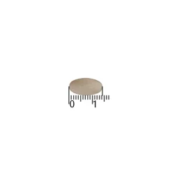 A.Vogel Famosan Salvia Overgang Sterk** 25 tabletten
