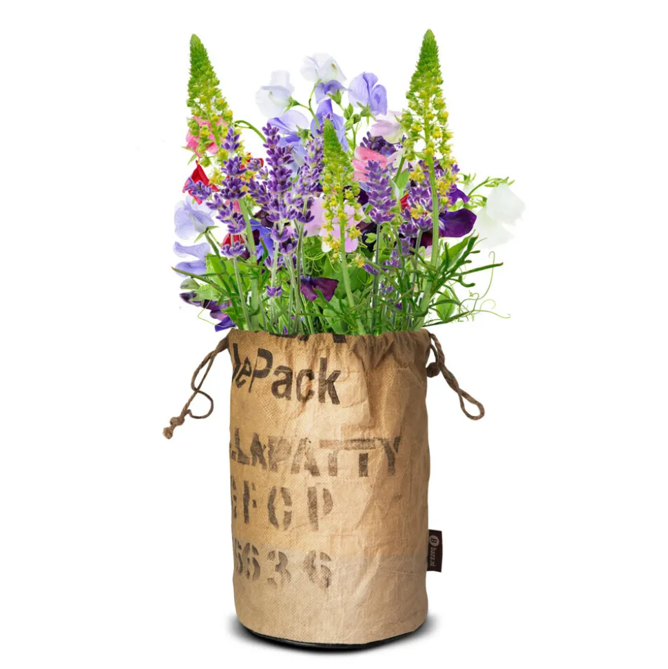 Baza Bio Wildbloemen Met Insectenhotel Paars