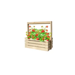 Baza Fresh Farm Bosaardbei Rood