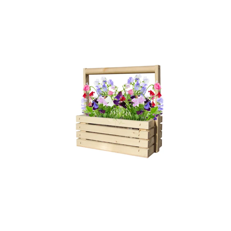 Baza Fresh Farm Lathyrus Byou