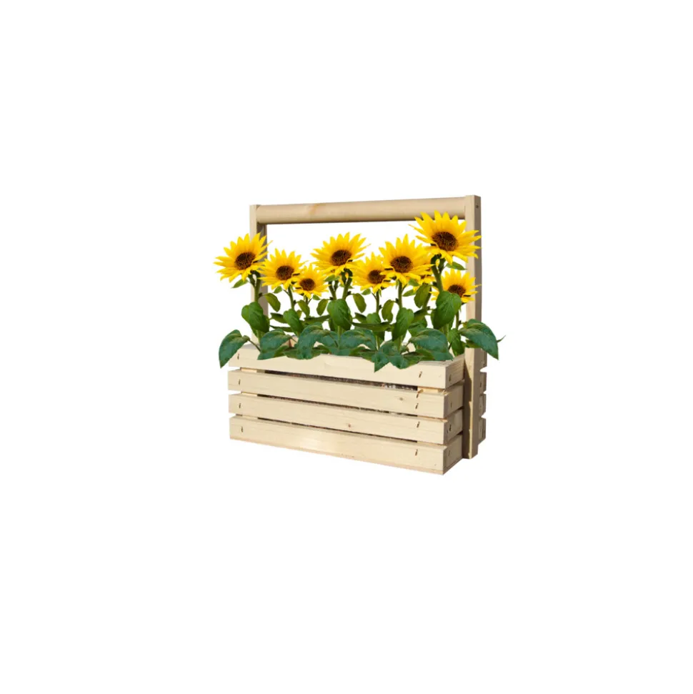 Baza Fresh Farm Zonnebloem Mini