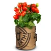 Baza Kindertuintje Greensquad Tomaten Zoete Kers