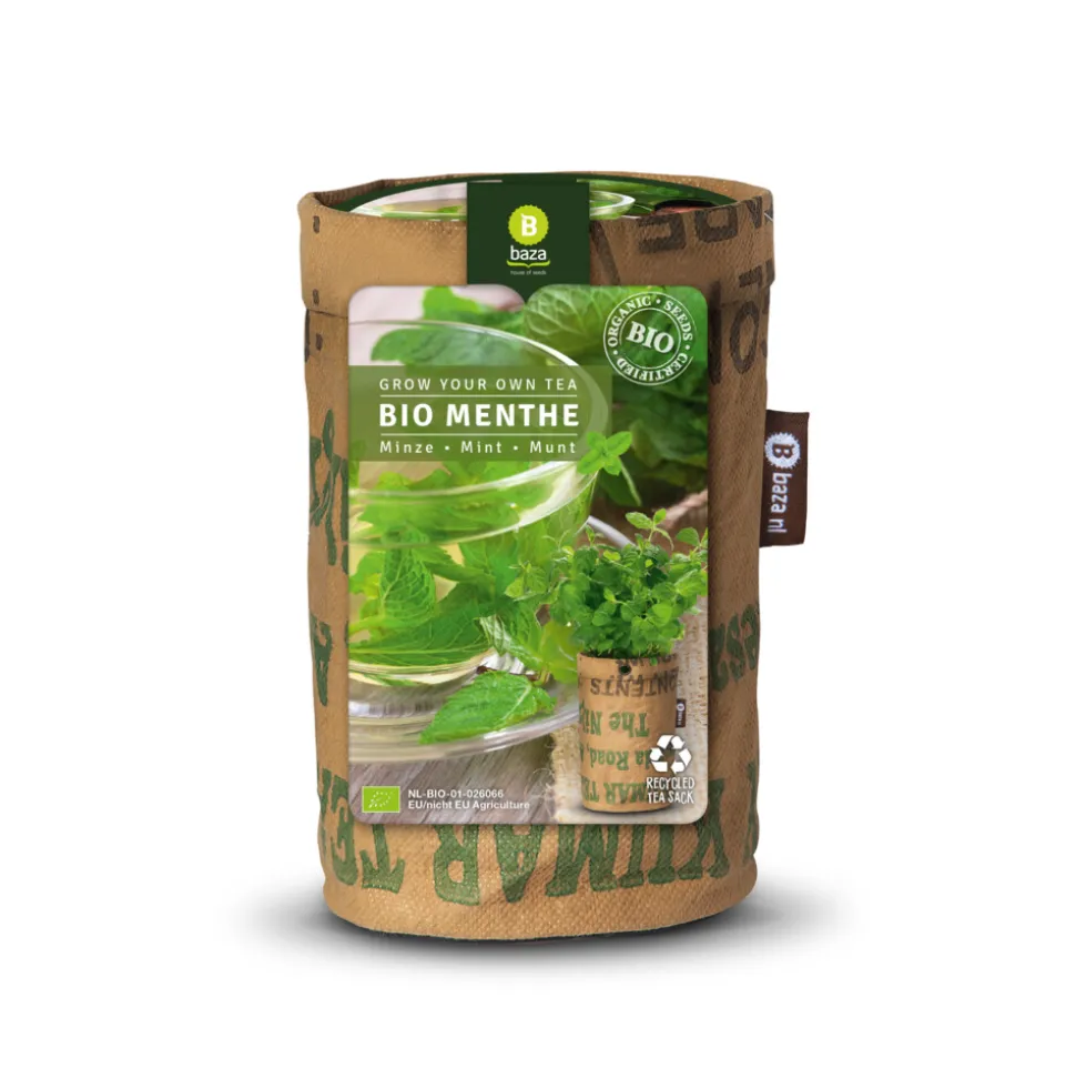 Baza Tea Garden Bio Munt