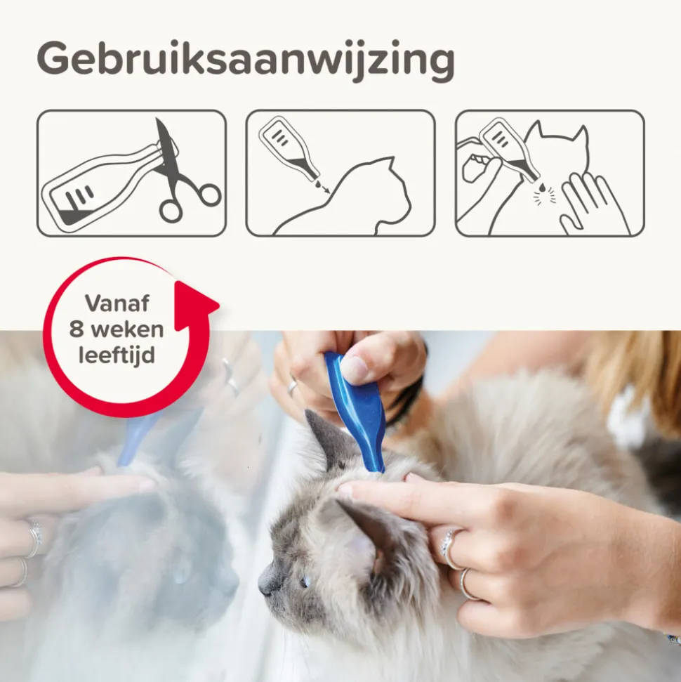 Beaphar Combotec Anti Vlooien en Teken Druppels Kat/Fret 2 pipetten