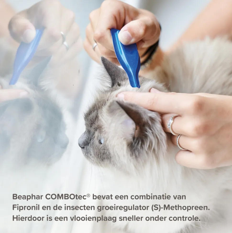 Beaphar Combotec Anti Vlooien en Teken Druppels Kat/Fret 2 pipetten