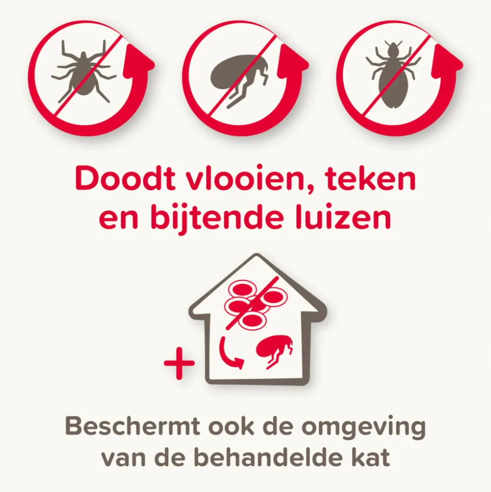 Beaphar Combotec Anti Vlooien en Teken Druppels Kat/Fret 2 pipetten