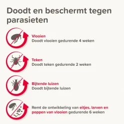 Beaphar Combotec Anti Vlooien en Teken Druppels Kat/Fret 2 pipetten