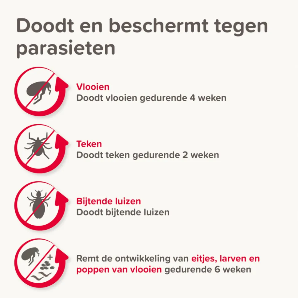 Beaphar Combotec Anti Vlooien en Teken Druppels Kat/Fret 2 pipetten