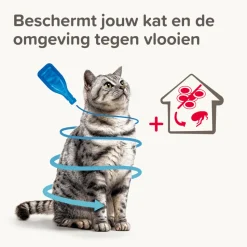Beaphar Combotec Anti Vlooien en Teken Druppels Kat/Fret 2 pipetten