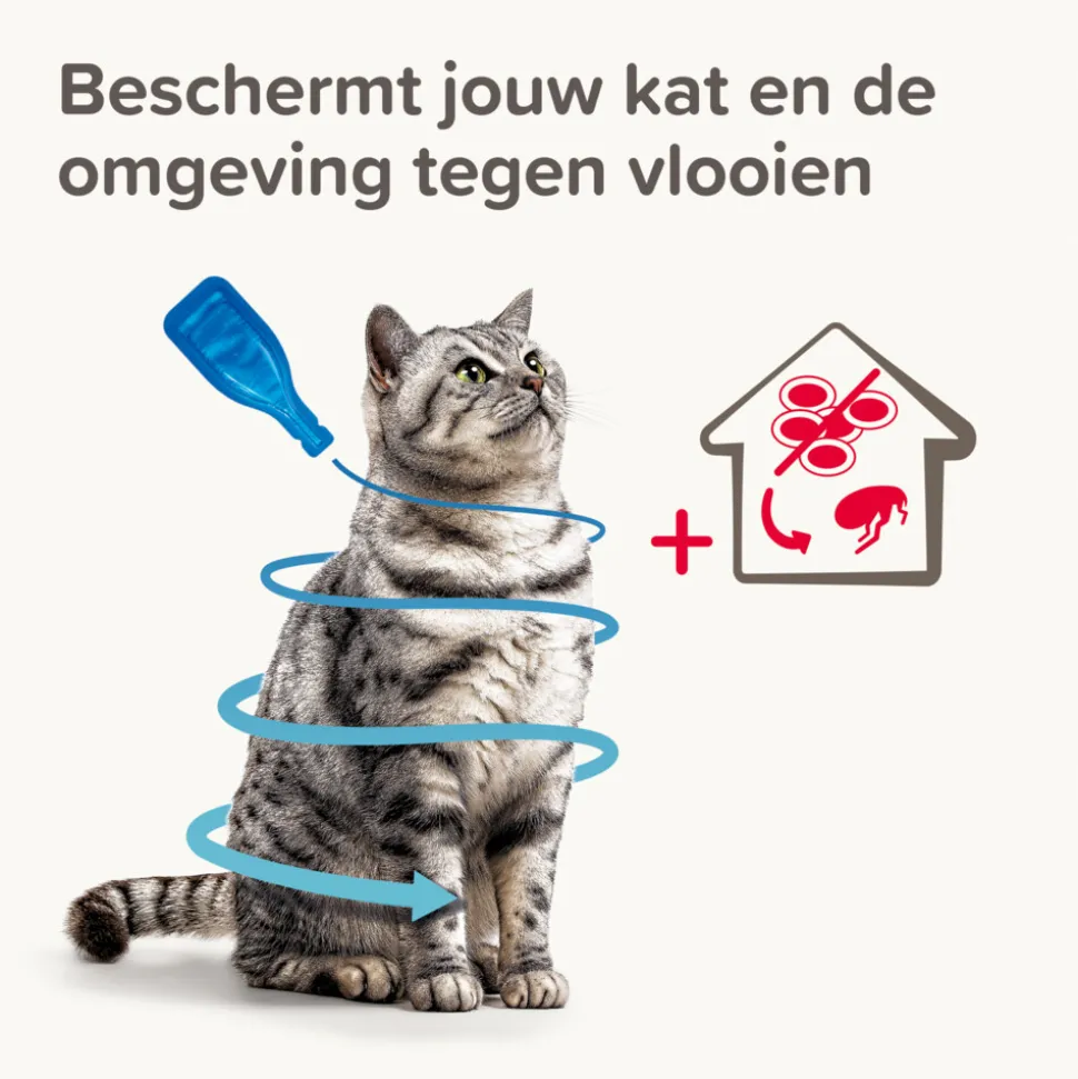 Beaphar Combotec Anti Vlooien en Teken Druppels Kat/Fret 2 pipetten