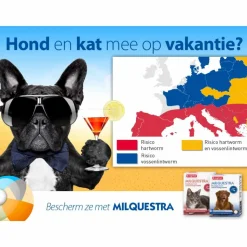 Beaphar Milquestra Ontworming Tabletten Hond 0,5-10 kg (ook puppy) 2 tabletten