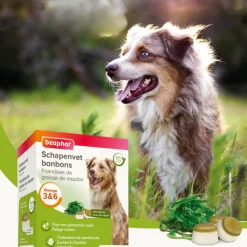 Beaphar Schapenvet Bonbons Zeewier 245 gr