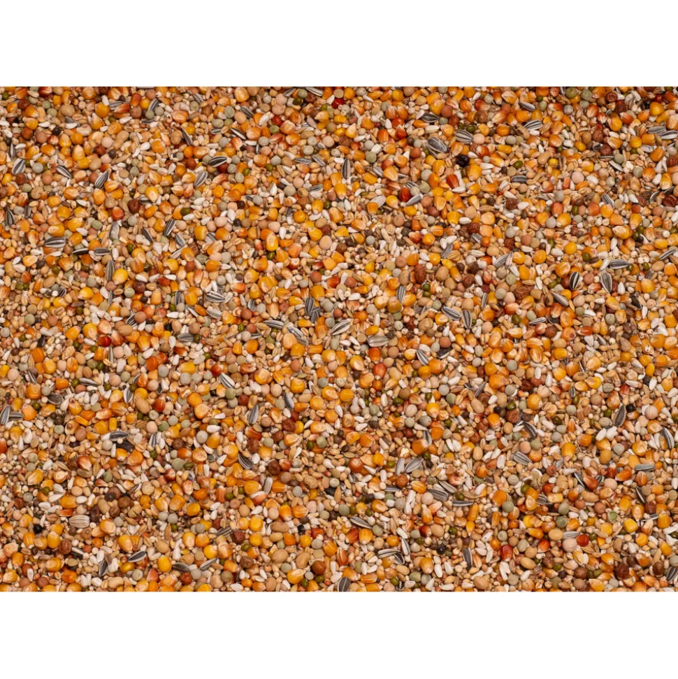 Beyers Premium Verkerk Sport 20 kg