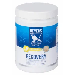 Beyers Recovery 600 gr