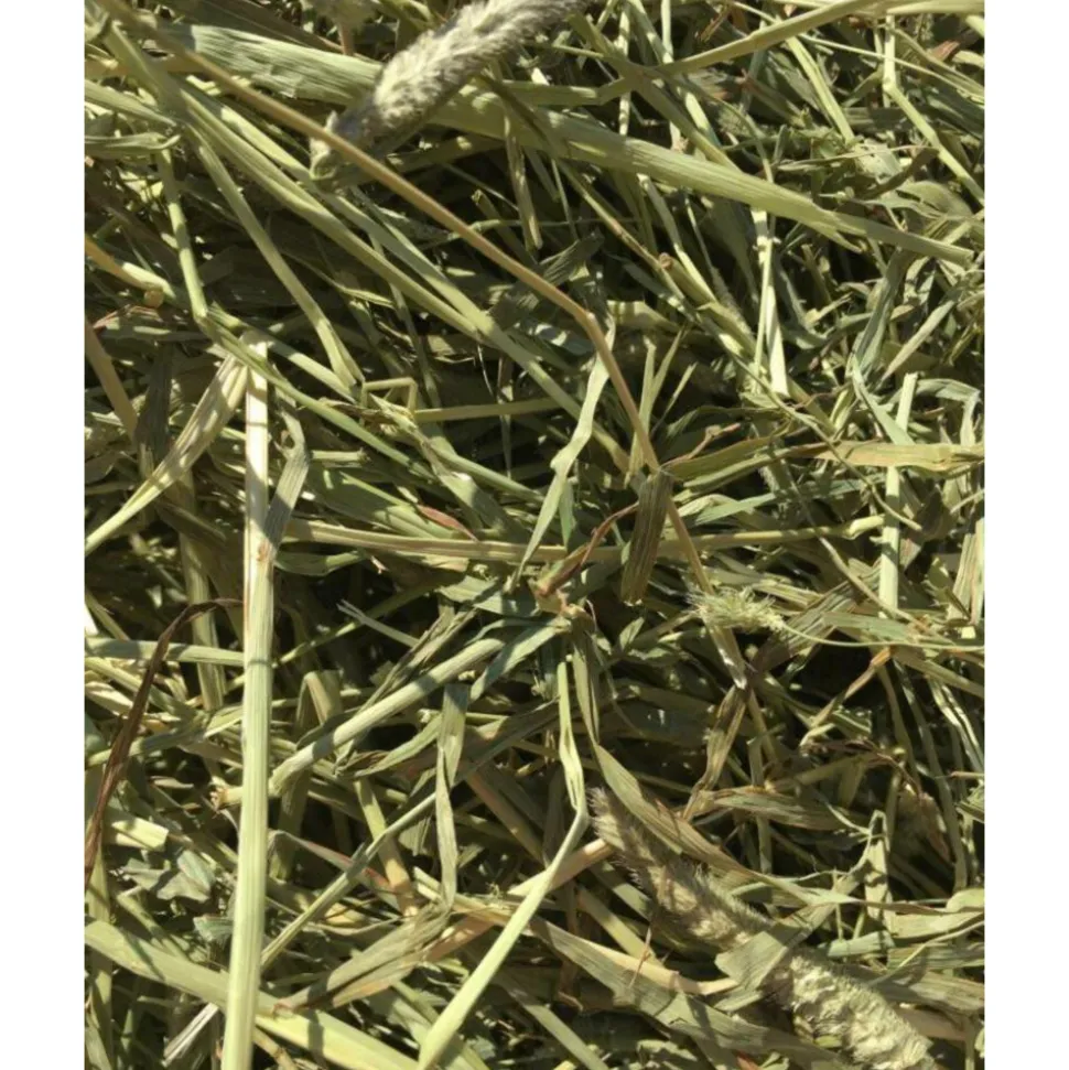 Bunny Nature Timothy Hooi 700 gr