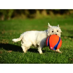 Chuckit Kick Fetch Voetbal Large ø 19 cm