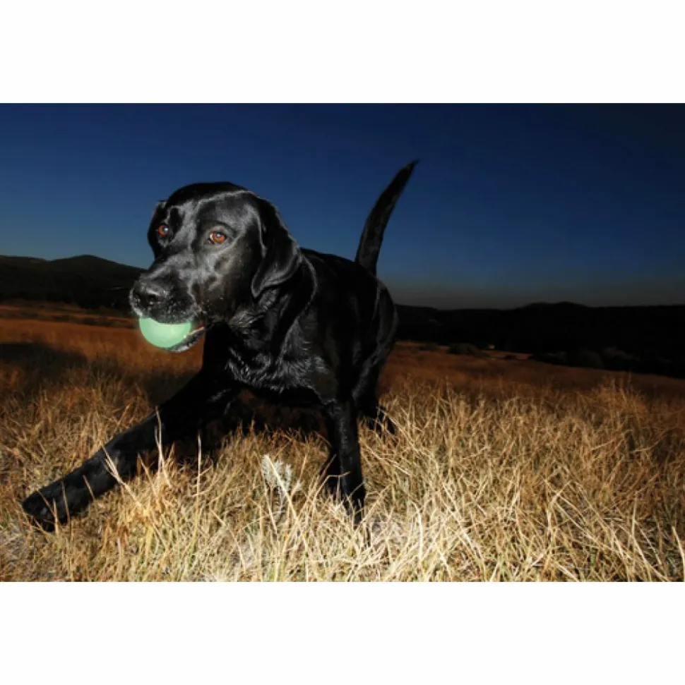 Chuckit Max Glow Ball 1 - pack Medium ø 6 cm