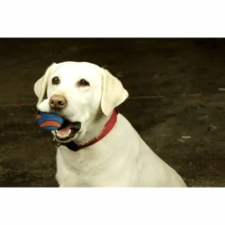 Chuckit Ultra Squeaker Ball Medium ø 6 cm