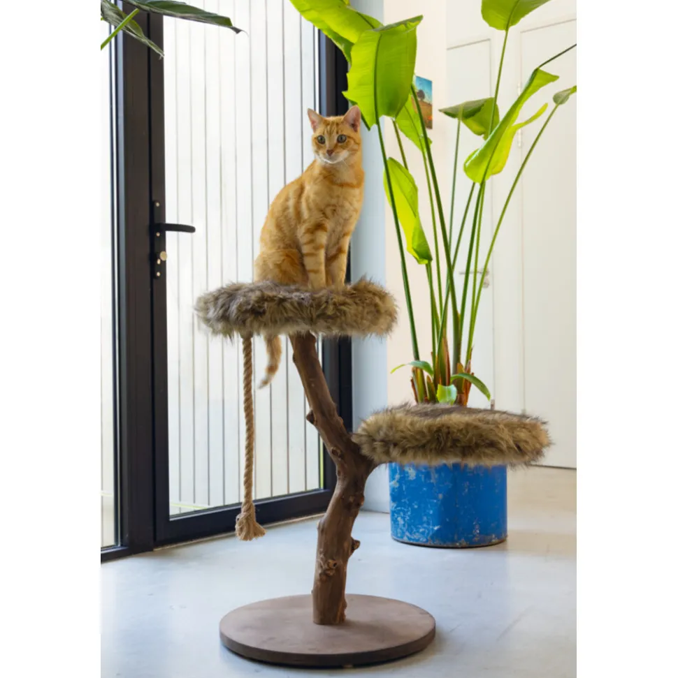 Designed by Lotte Krabmeubel Hout Aviva 50 x 50 x 68 cm