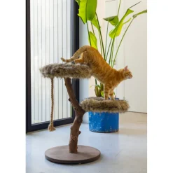 Designed by Lotte Krabmeubel Hout Aviva 50 x 50 x 68 cm