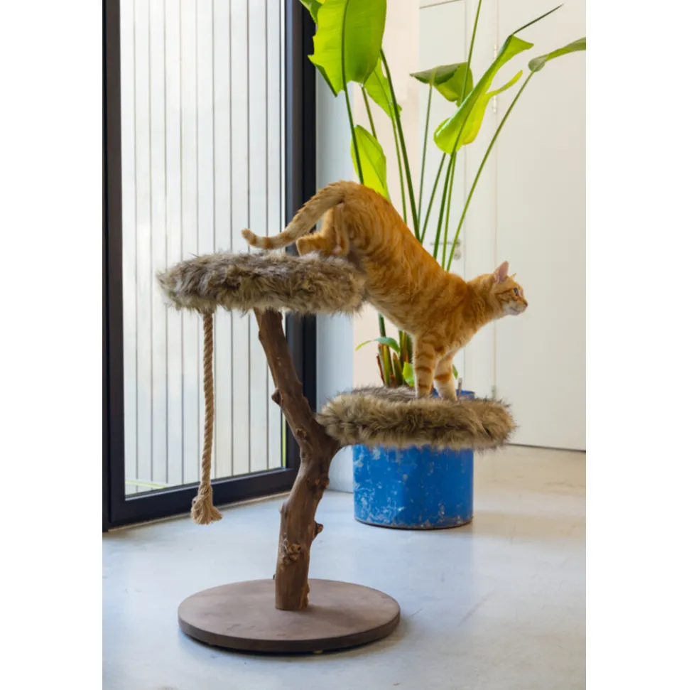 Designed by Lotte Krabmeubel Hout Aviva 50 x 50 x 68 cm