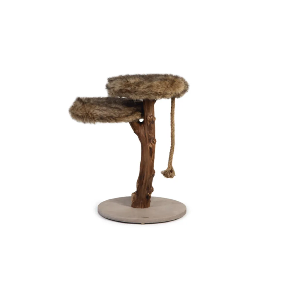 Designed by Lotte Krabmeubel Hout Aviva 50 x 50 x 68 cm