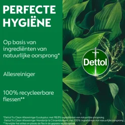 Dettol Allesreiniger Spray Eucalyptus 500 ml