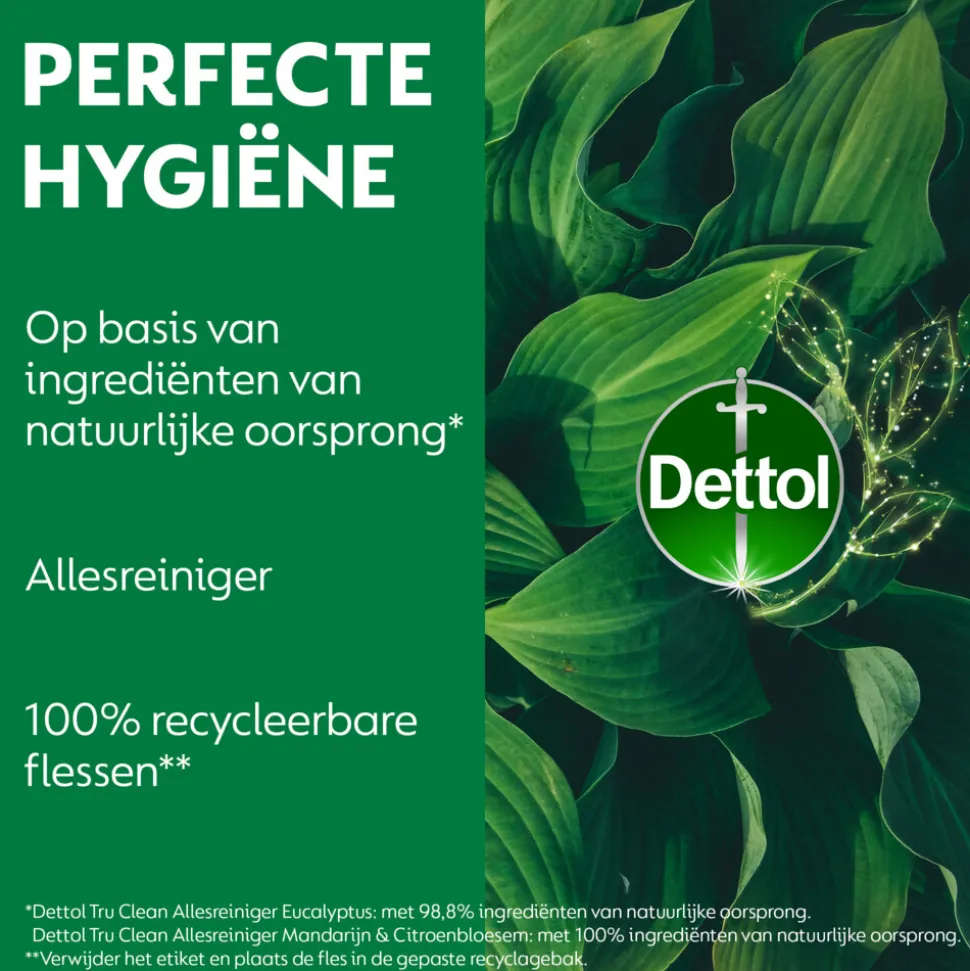 Dettol Allesreiniger Spray Eucalyptus 500 ml