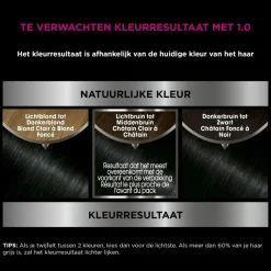 Garnier Olia Permanente Crèmekleuring 1.0 Zwart