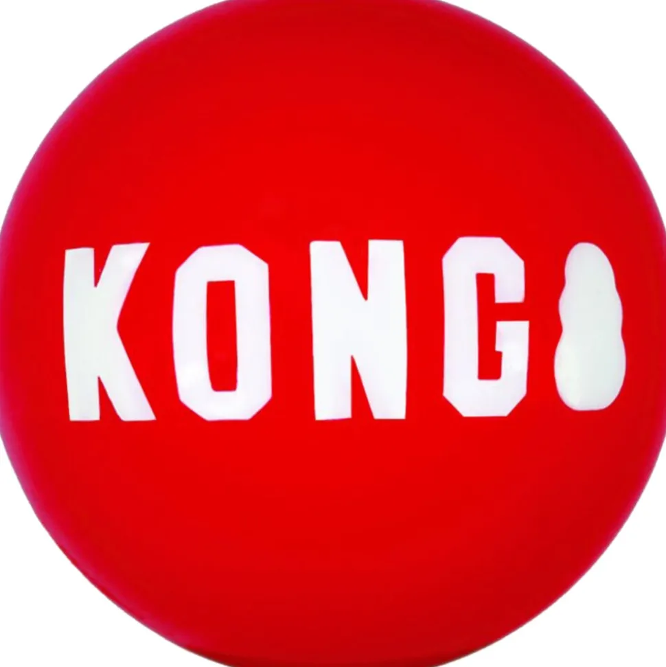 Kong Signature Balls M 2 stuks