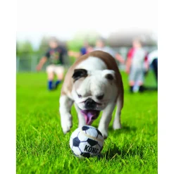 Kong Sportballen S 3 stuks