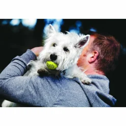 Kong Squeakair Tennisbal Multipack S 3 stuks