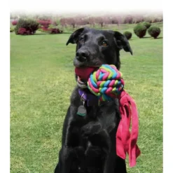 Kong Wubba Weaves S