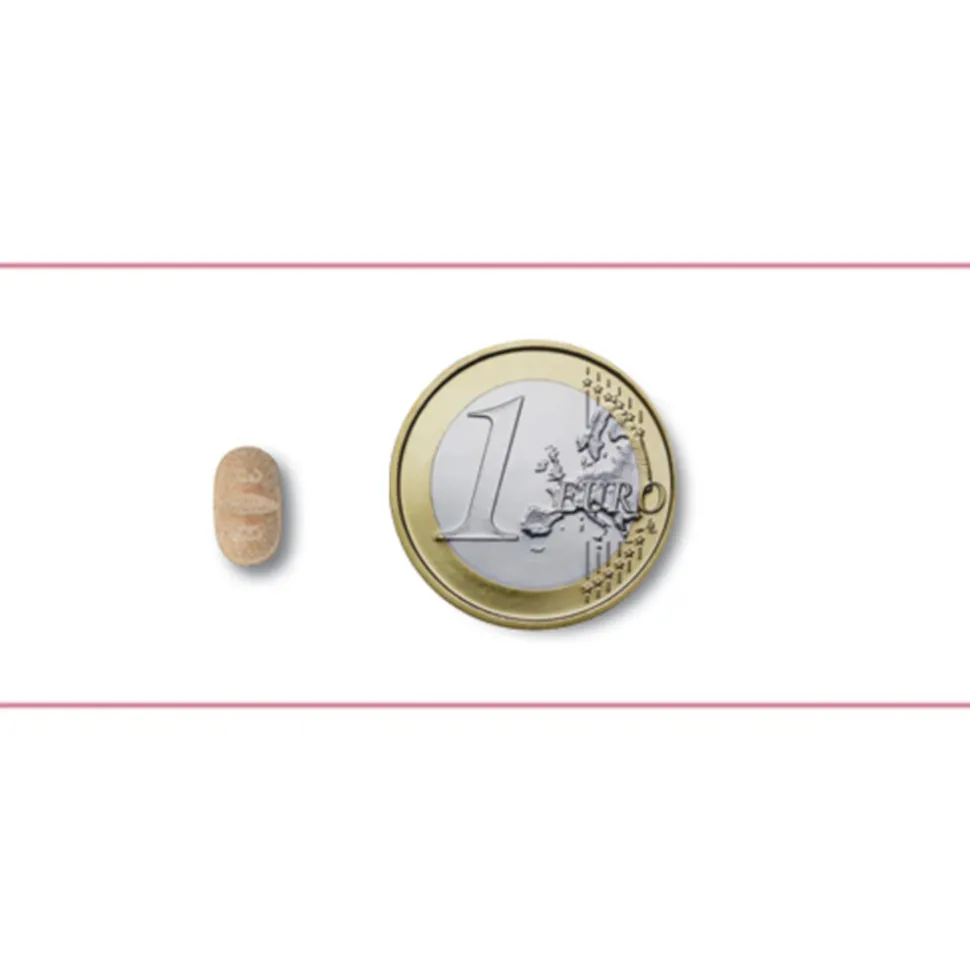 Milbemax Ontworming Tabletten Kat 2 - 12 kg 2 x 2 tabletten