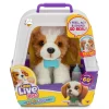 My Really Real Puppy Patches