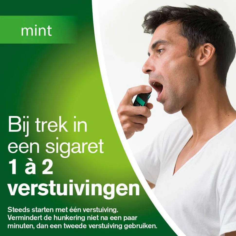 Nicorette Mondspray Mint Duo 1 mg 2x13,2