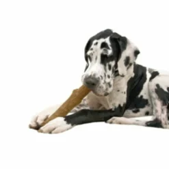 Petstages Dogwood Stick Bruin 14,0x 26,7 x 3,8 cm