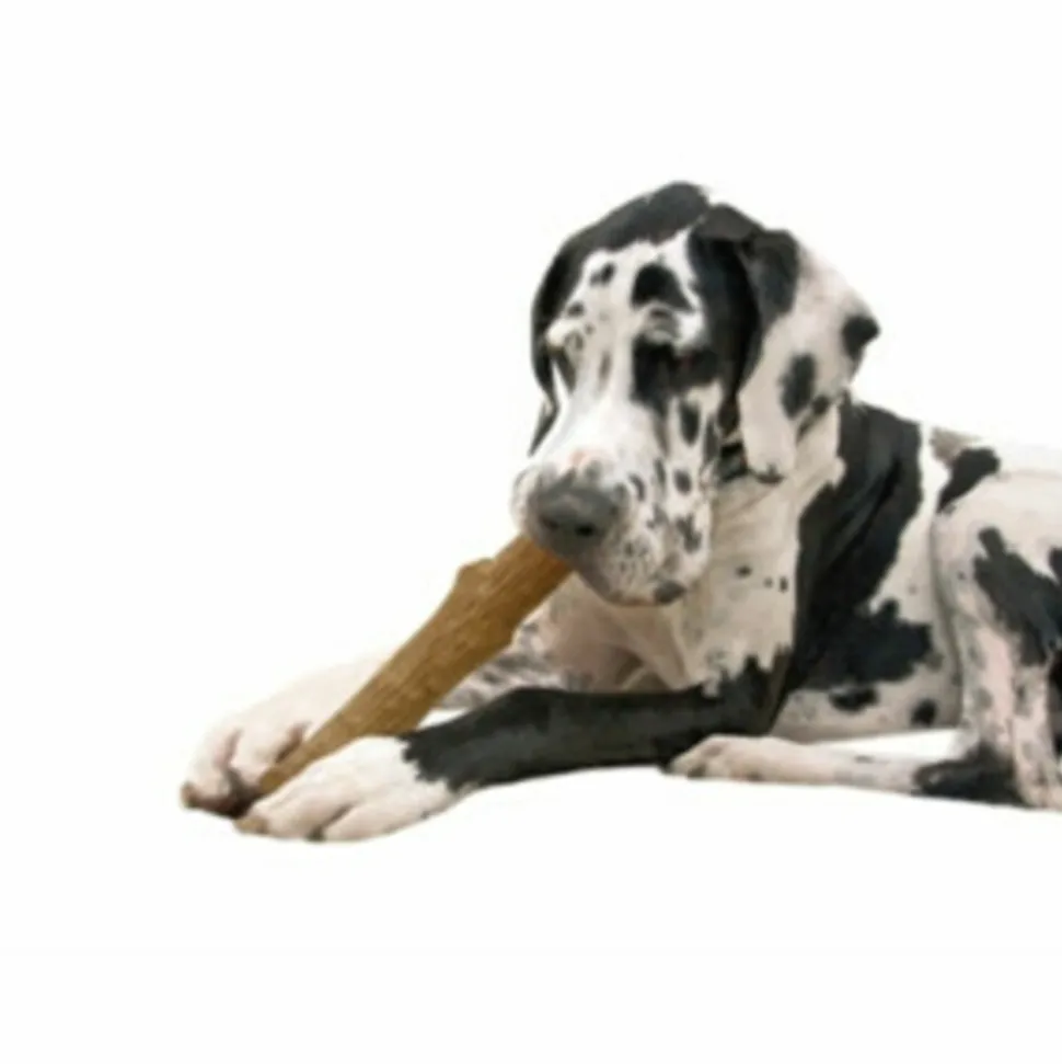 Petstages Dogwood Stick Bruin 14,0x 26,7 x 3,8 cm