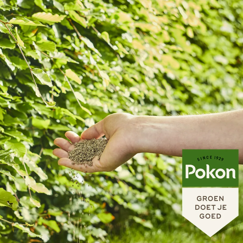 Pokon Beuken & Hagen Mest 2,5 kg