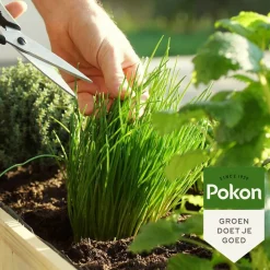 Pokon Bio Kruiden Mest 1 kg