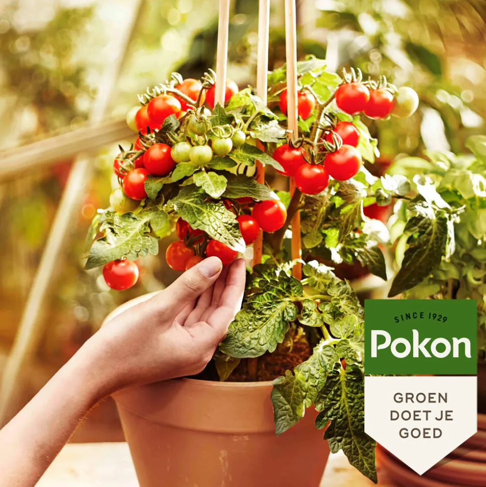 Pokon Bio Moestuin Voeding 500 ml