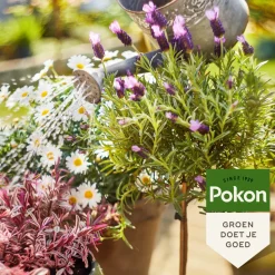 Pokon Bio Terras & Balkon Planten Voeding 1 liter