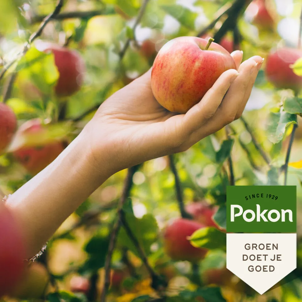 Pokon Biologische Mest Fruitbomen 1 kg