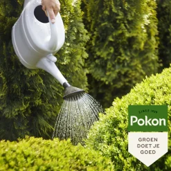 Pokon Bitterzout Groenmaker 500 gr