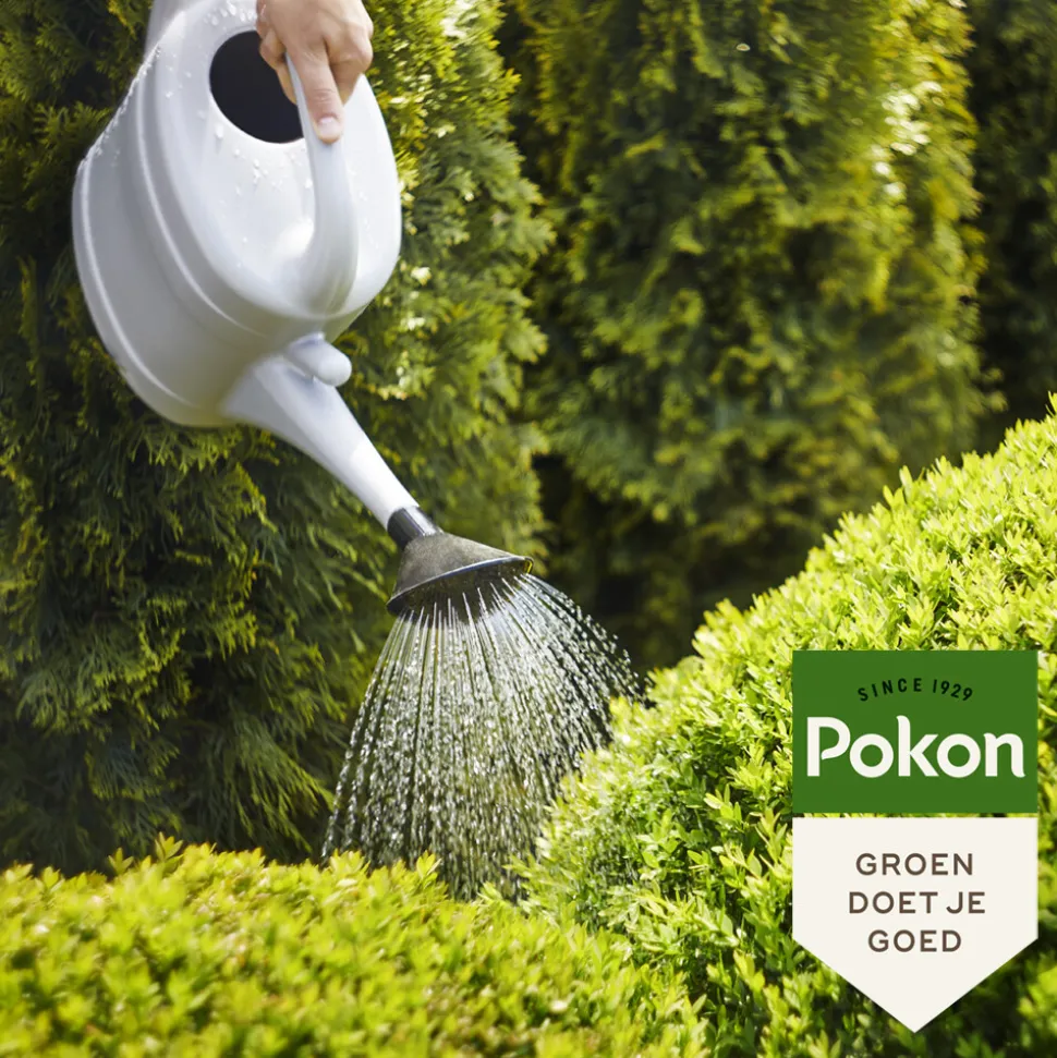 Pokon Bitterzout Groenmaker 500 gr