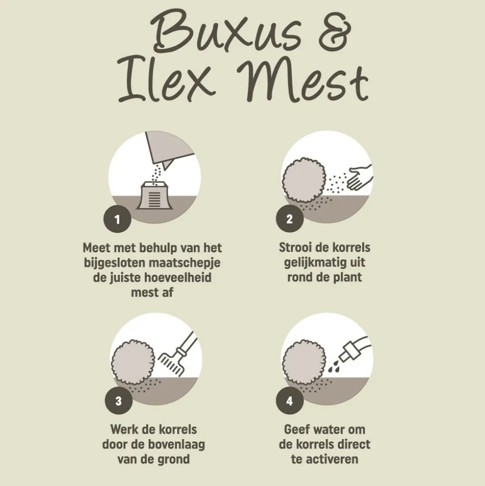 Pokon Buxus en Ilex Mest 1 kg