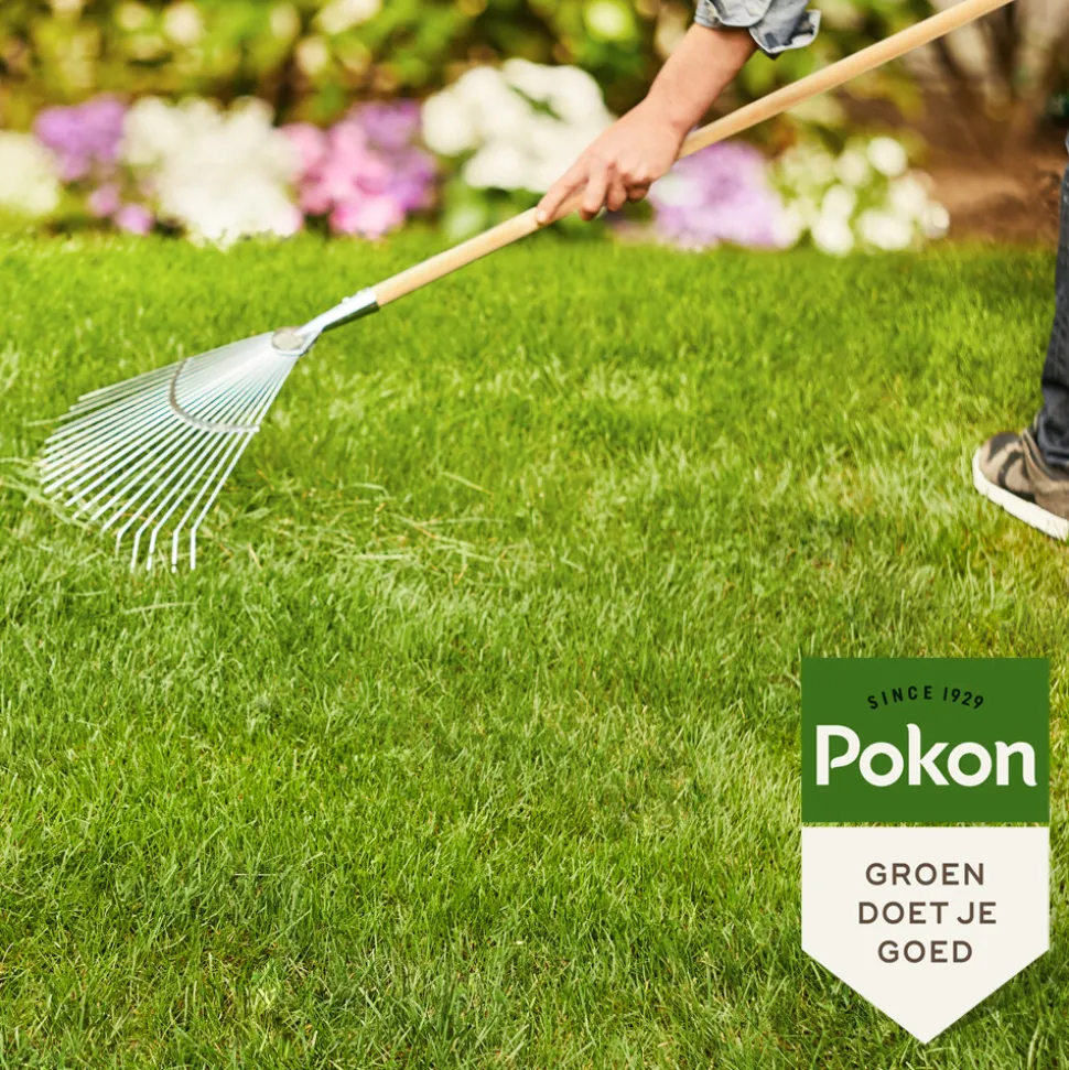 Pokon Gazonmest met Kalk voor 15 m² 1 kg