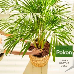 Pokon Potgrond Palmen 10 liter