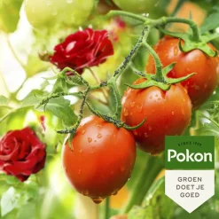 Pokon Tegen Insecten Spray Polysect GYO Spray Biologisch 800 ml