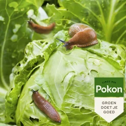 Pokon Tegen Slakken Korrels Biologisch 900 gr